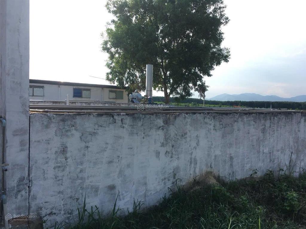 Bán trại heo 1200 nái, diện tích 9,6ha tại tân thắng, hàm tân, bình thuận đường xe tải vào tận nơi