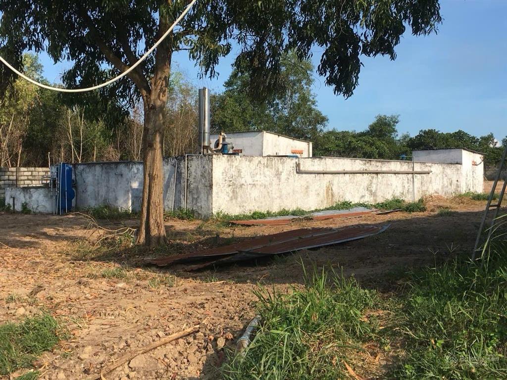 Bán trại heo 1200 nái, diện tích 9,6ha tại tân thắng, hàm tân, bình thuận đường xe tải vào tận nơi