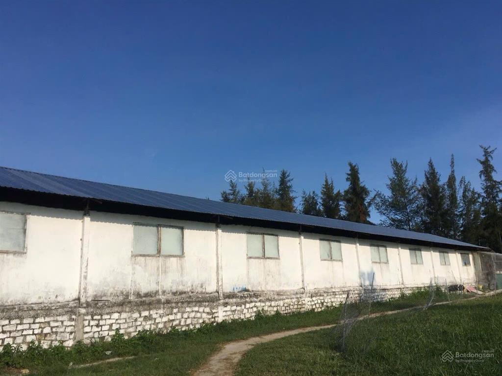 Bán trại heo 1200 nái, diện tích 9,6ha tại tân thắng, hàm tân, bình thuận đường xe tải vào tận nơi