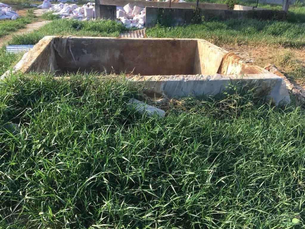 Bán trại heo 1200 nái, diện tích 9,6ha tại tân thắng, hàm tân, bình thuận đường xe tải vào tận nơi