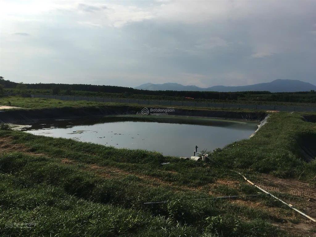Bán trại heo 1200 nái, diện tích 9,6ha tại tân thắng, hàm tân, bình thuận đường xe tải vào tận nơi