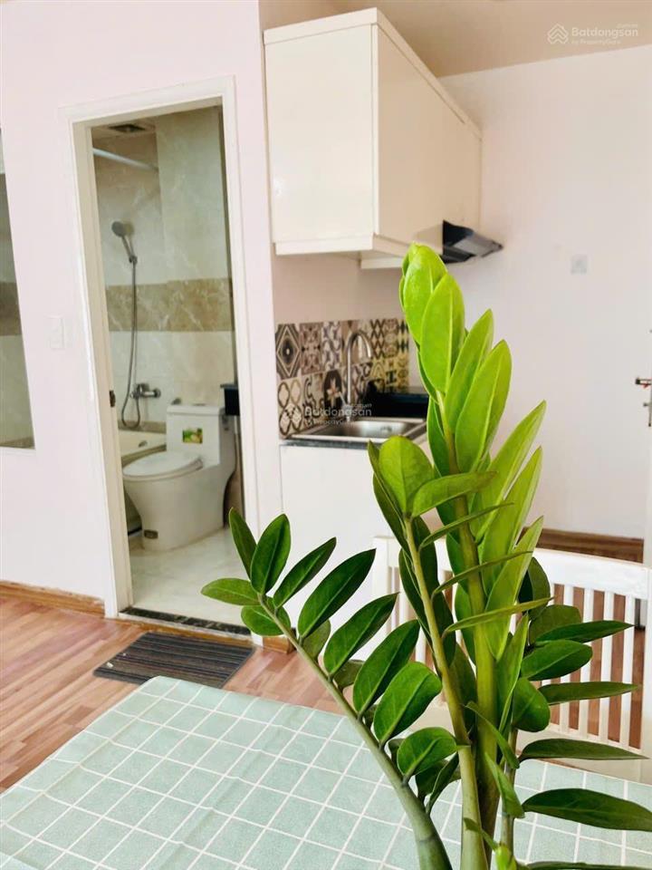 Cho thuê cc mini, 8,8 triệu, 35m2 tại đinh công tráng, p. tân định, q1, hcm  hàng hiếm chính chủ