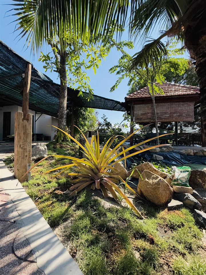 Nhà vườn 2.2 triệu/m2 khu dân cư cách biển chỉ 2km