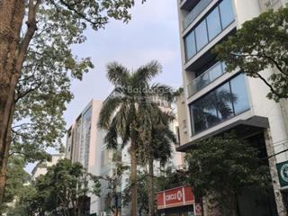 Bán nhà mặt phố nguyễn thị thập, cầu giấy 85m2, 7 tầng, mặt tiền 7m, có hầm, thang máy