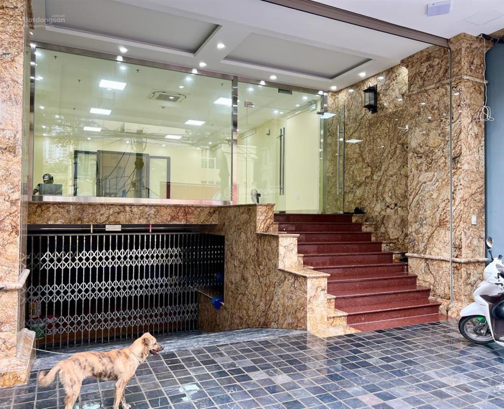 Bán nhà mặt phố trung hoà, lưu quang vũ, cầu giấy 116m2, 8 t ( 1 hầm, 7 tầng nổi ) mặt tiền 6.7m