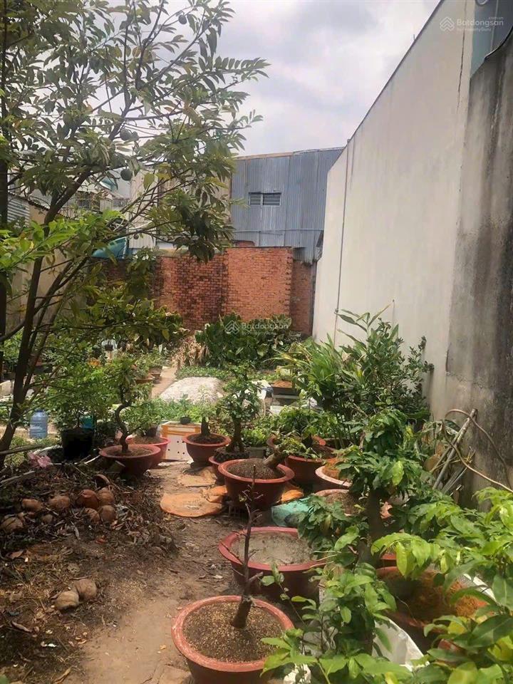 Đất thổ cư kdc hxh đường đông thạnh 42, đông thạnh  giá tốt