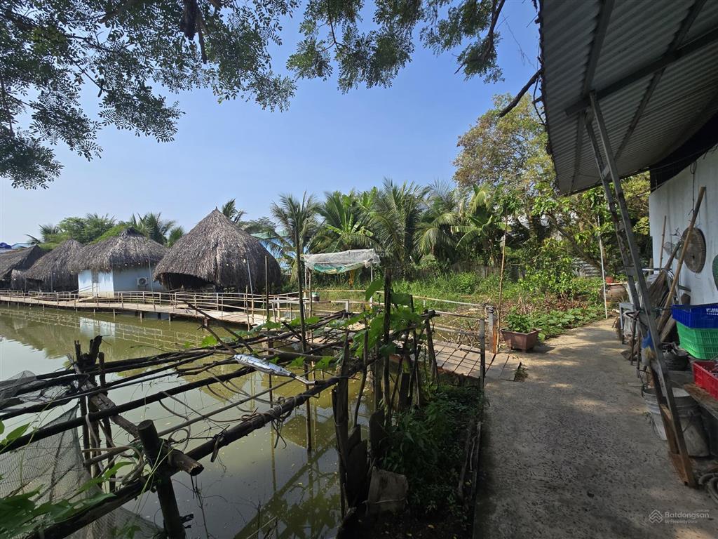 Bán đất 10.000 m2 mặt tiền đường nhựa gần 100m tại trung tâm cao lãnh
