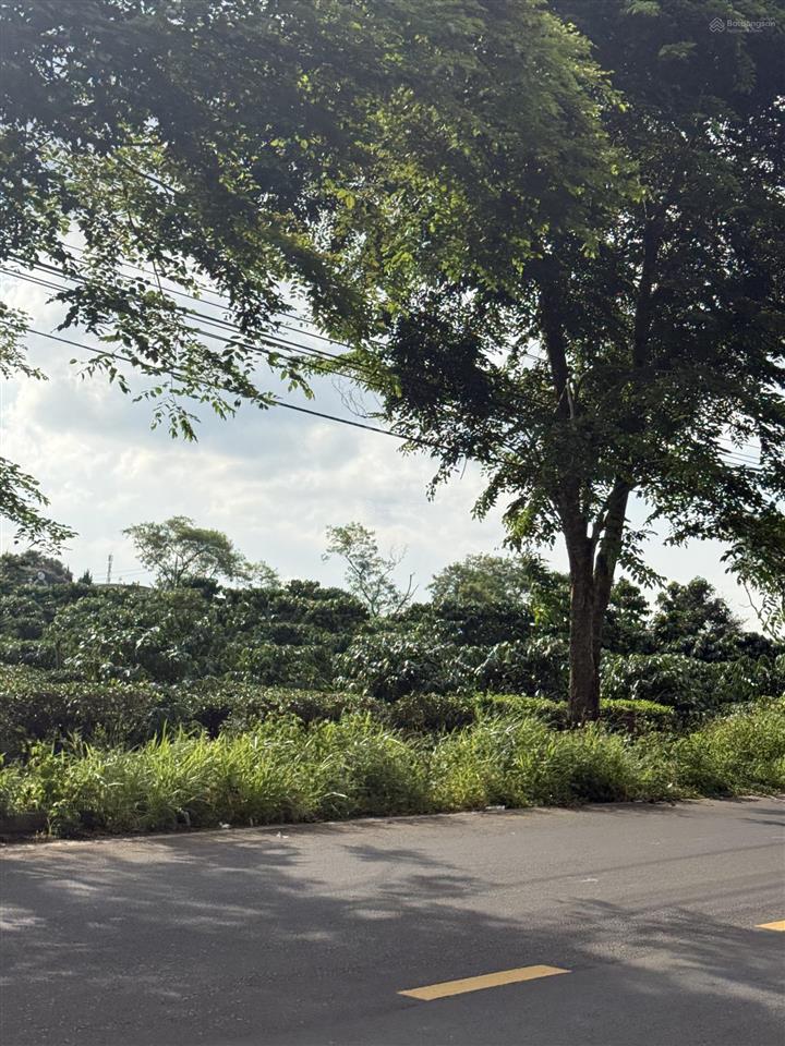 6500m2 trung tâm bảo lộc sau ca phường 2 cực hiếm