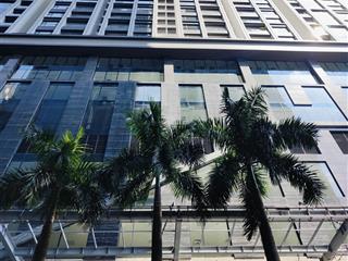 Cần bán gấp căn trục 03 chung cư capital elite số 18 đường phạm hùng, cầu giấy