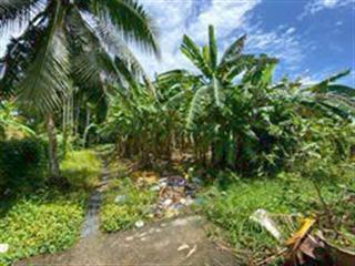 Đất nền đẹp, bán gấp tại đường hồ trung thành, q.bình thủy, 6 tỷ, 985.9 m2