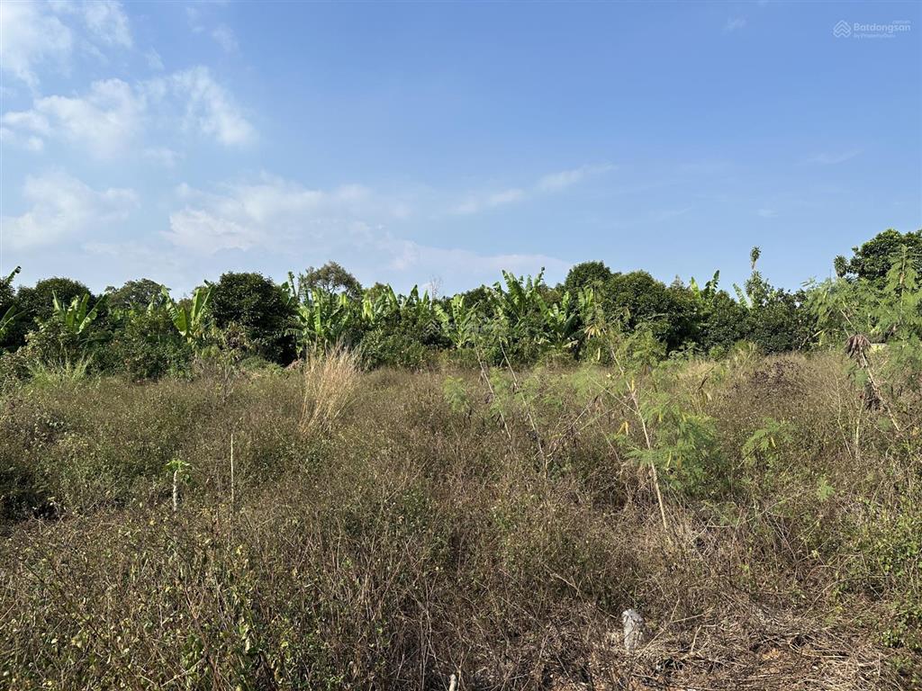 Bán đất tại xã lộ 25, huyện thống nhất, đồng nai, 136.9m2