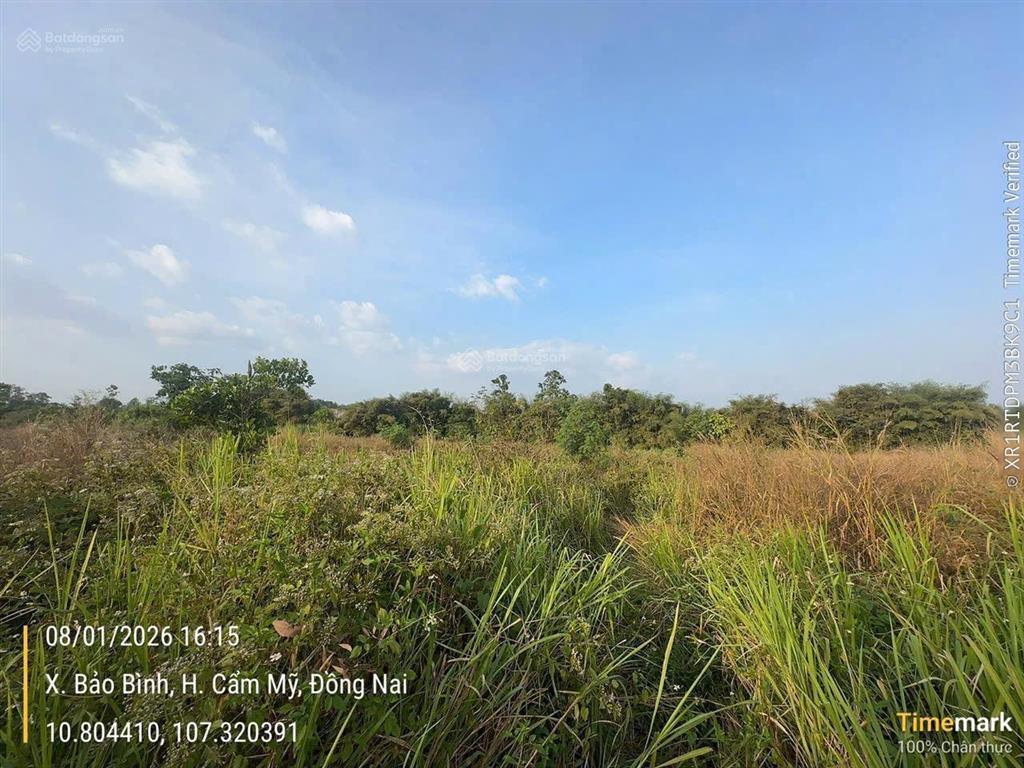 Ngân hàng chào bán  2100m2 đất tại bảo bình, cẩm mỹ, đồng nai  mặt tiền 28m.