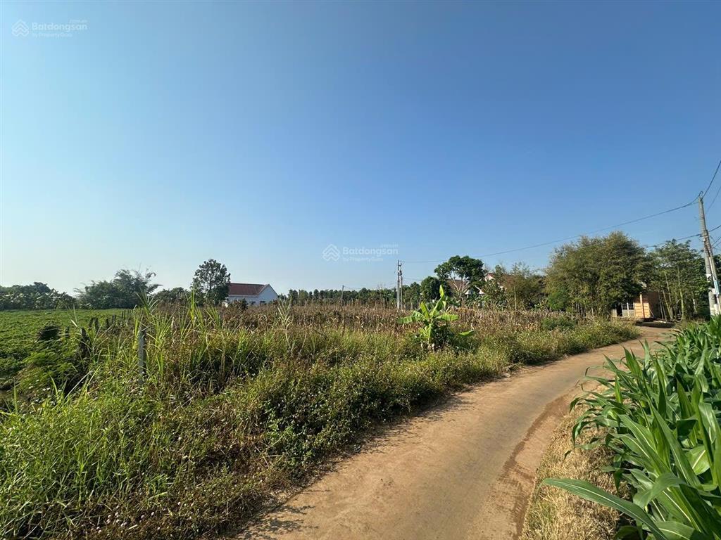 1.700m2 đất tại sông ray, cẩm mỹ  300m2 thổ cư  1.5t