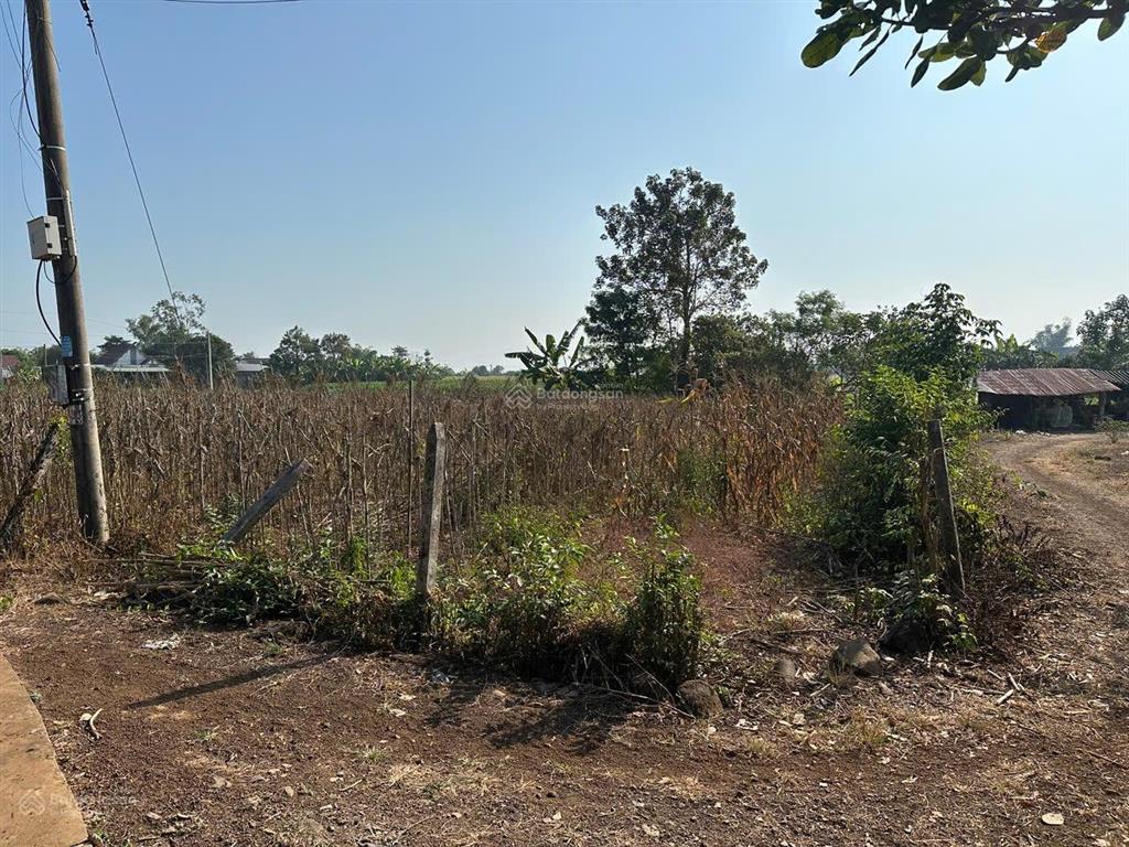 1.700m2 đất tại sông ray, cẩm mỹ  300m2 thổ cư  1.5t