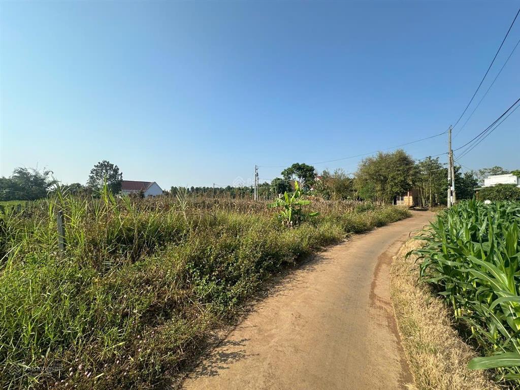 1.700m2 đất tại sông ray, cẩm mỹ  300m2 thổ cư  1.5t
