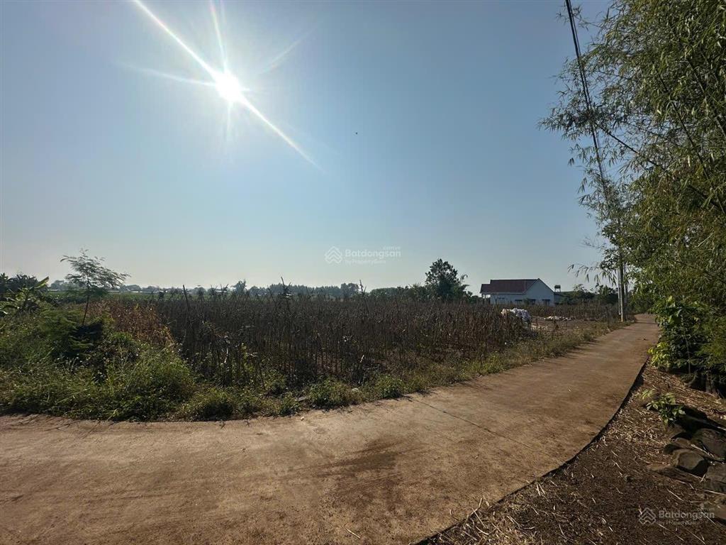 1.700m2 đất tại sông ray, cẩm mỹ  300m2 thổ cư  1.5t
