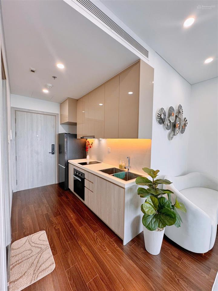 Giá đầu tư 2.4 tỷ 01 căn studio cao cấp tòa a masteri dt 30.4m2,nội thất đẹp, sẵn khách thuê 9tr!