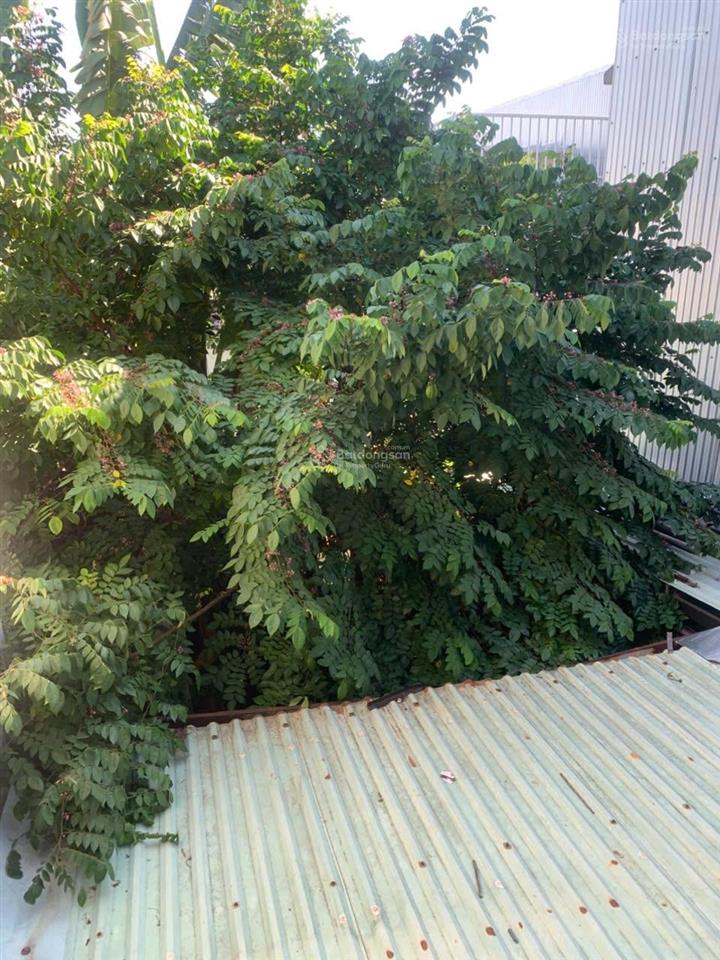 Chính chủ cần bán gấp 120m2 mặt tiền đường 7.5m hòa xuân 2 tầng + sân vườn chỉ nhỉnh 6 tỷ