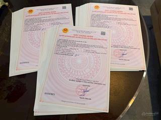 Bảng giá the link city dầu giây, nhanh chóng lựa chọn sản phẩm phù hợp