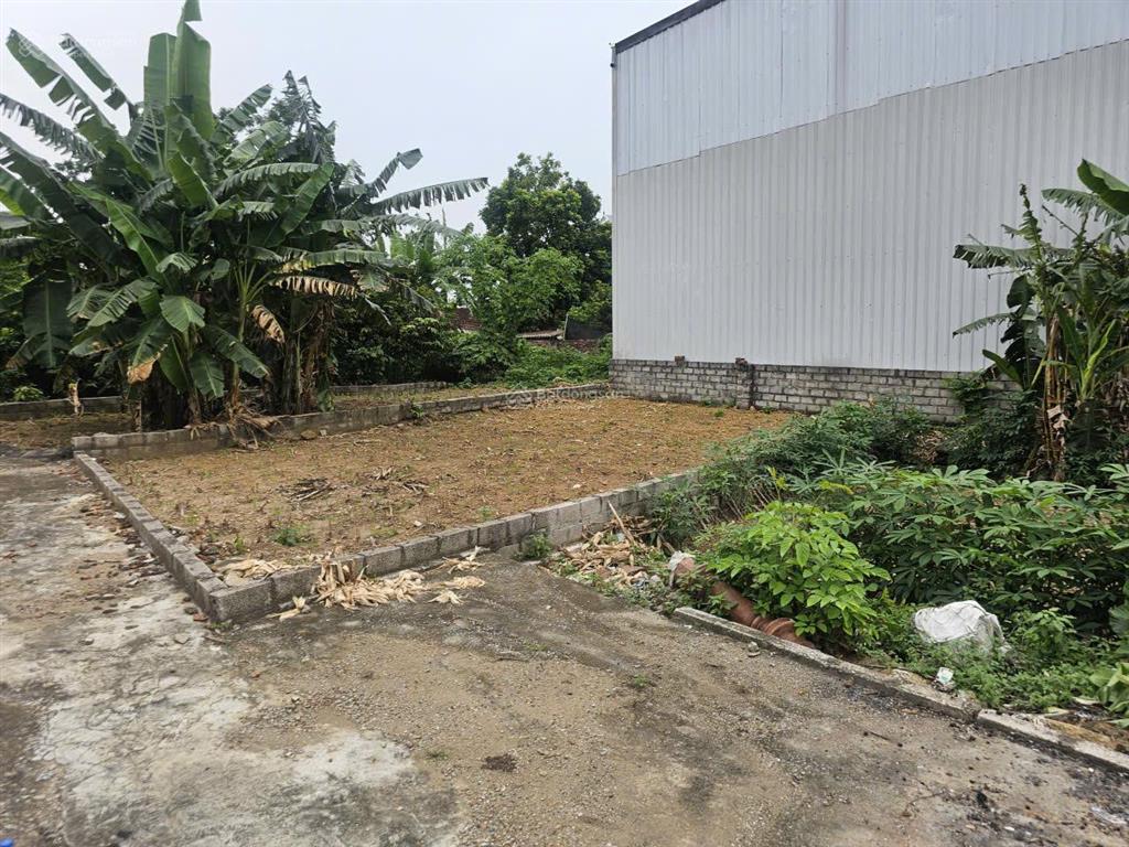 Bán đất hòa lạc 100m², gần đhqg & khu công nghệ cao, pháp lý chuẩn, giá chỉ 3 tỷ 5
