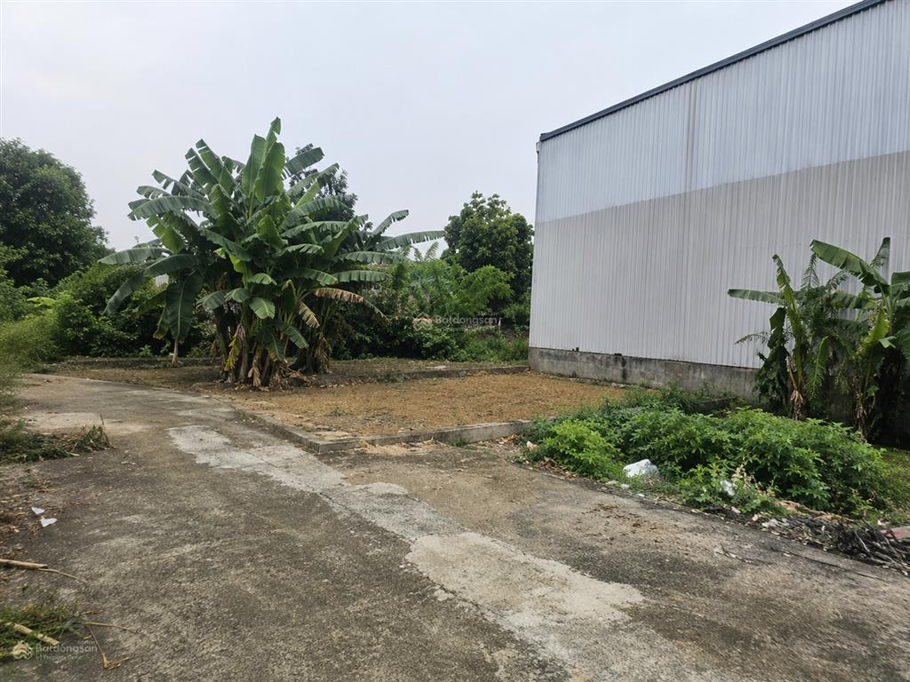 Bán đất hòa lạc 100m², gần đhqg & khu công nghệ cao, pháp lý chuẩn, giá chỉ 3 tỷ 5