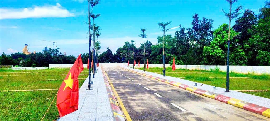 Bán đất cổ đông sơn tây 100m² full thổ cư, sát quốc lộ 21a, sổ đỏ, chỉ 2 tỷ