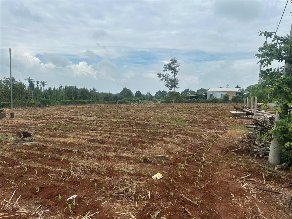 Chính chủ bán đất tại liên sơn, châu đức, hồ chí minh, 2,1 tỷ, 400m2 đã có thổ cư