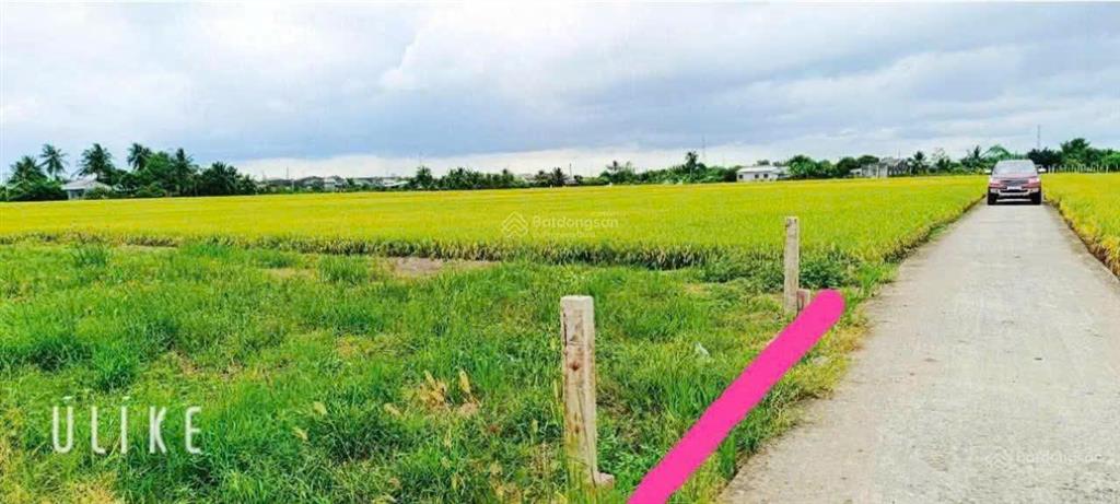 Cắt lỗ bán nhanh đất thổ cư ấp 3 lạc tấn  tân trụ  long an nay là xã nhựt tảo, tây ninh