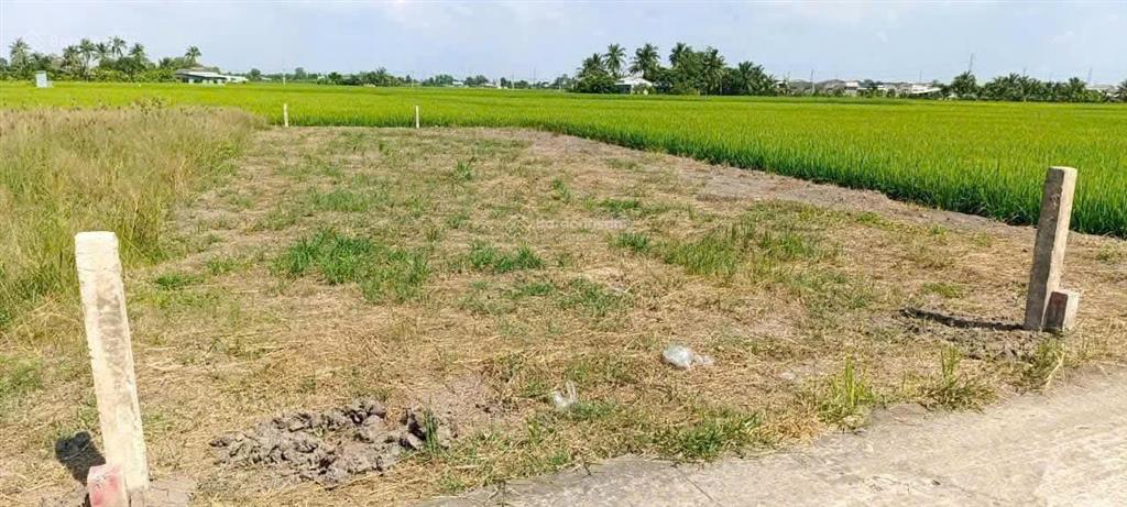 Cắt lỗ bán nhanh đất thổ cư ấp 3 lạc tấn  tân trụ  long an nay là xã nhựt tảo, tây ninh