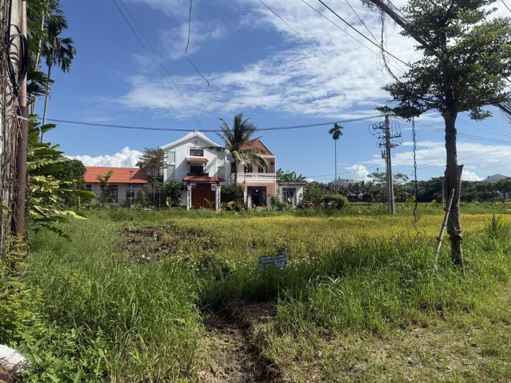 Tuyệt phẩm view lúa, mặt tiền cửa đại, hội an, 402m2, ngang 12m, giá chỉ nhỉnh 20 tỷ