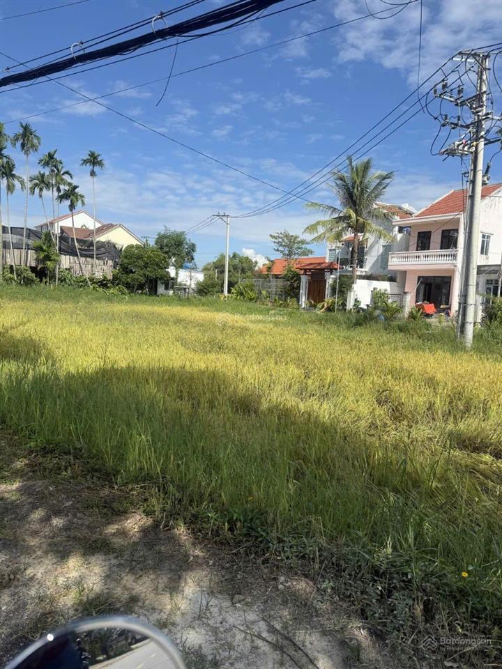Tuyệt phẩm view lúa, mặt tiền cửa đại, hội an, 402m2, ngang 12m, giá chỉ nhỉnh 20 tỷ