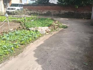 Bán gấp 77m lô góc cực đẹp oto đỗ cửa