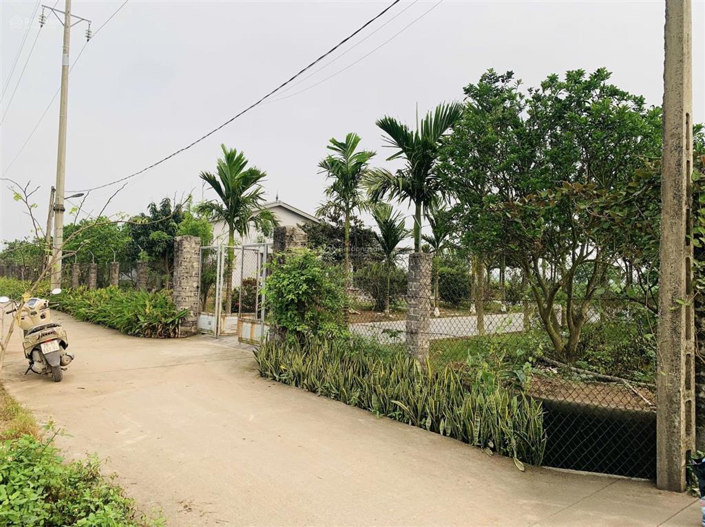 Bán đất nông nghiệp (qh đất ở) thường tín hà nội