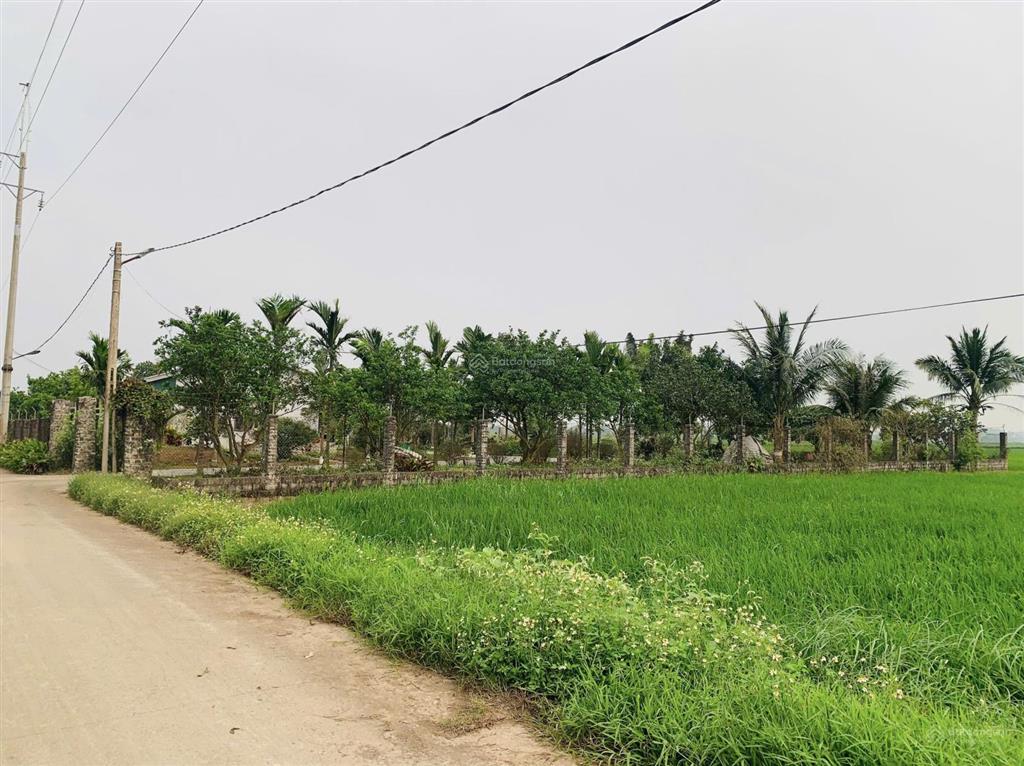 Bán đất nông nghiệp (qh đất ở) thường tín hà nội