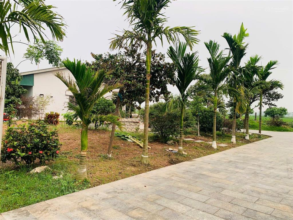 Bán đất nông nghiệp (qh đất ở) thường tín hà nội
