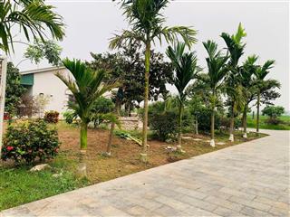 Bán đất nông nghiệp thường tín hà nội.