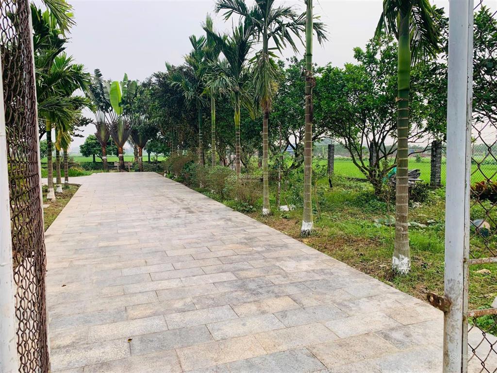 Bán đất nông nghiệp (qh đất ở) thường tín hà nội