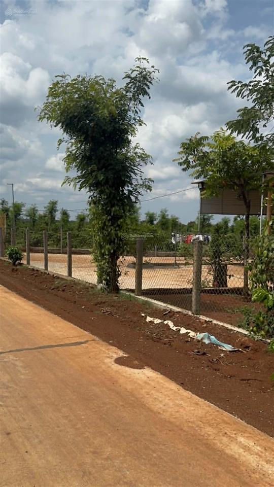 Cần tiền bán gấp đất sau lưng chợ ia bă 2 sào