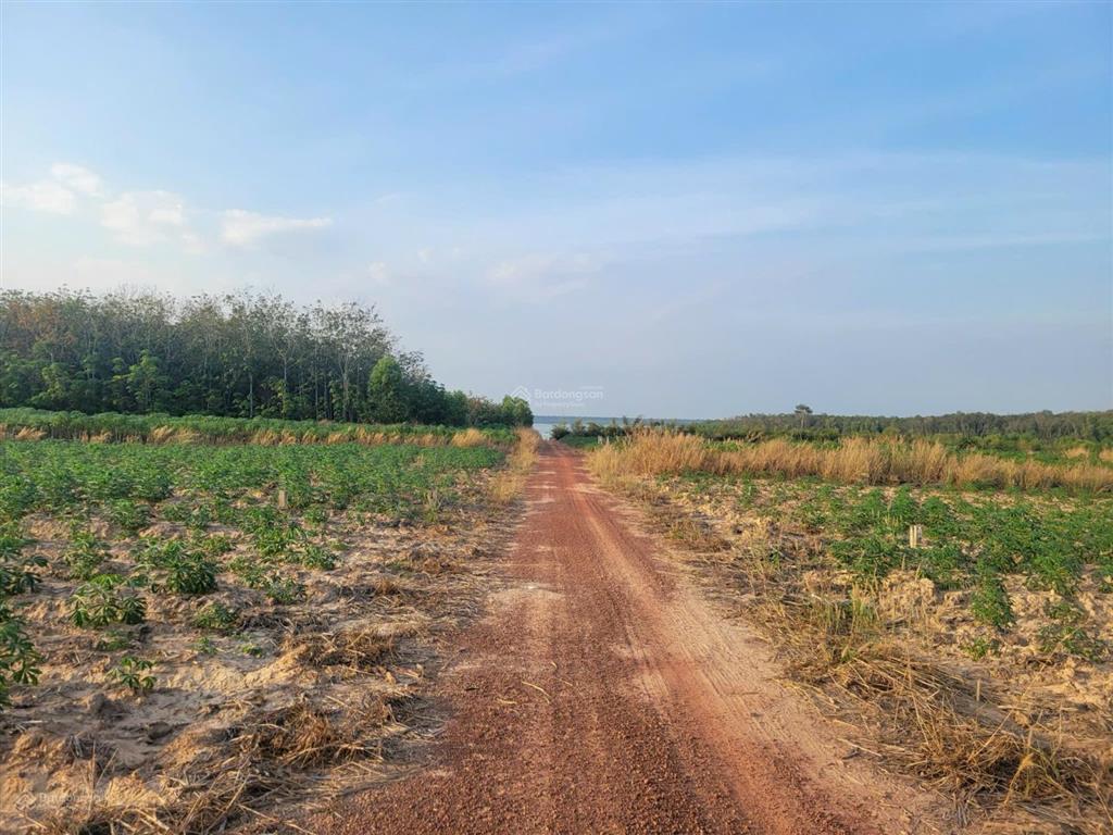 Bán đất tại minh hòa, 1.050 tỷ, 2138m2, giá siêu hời cho bạn