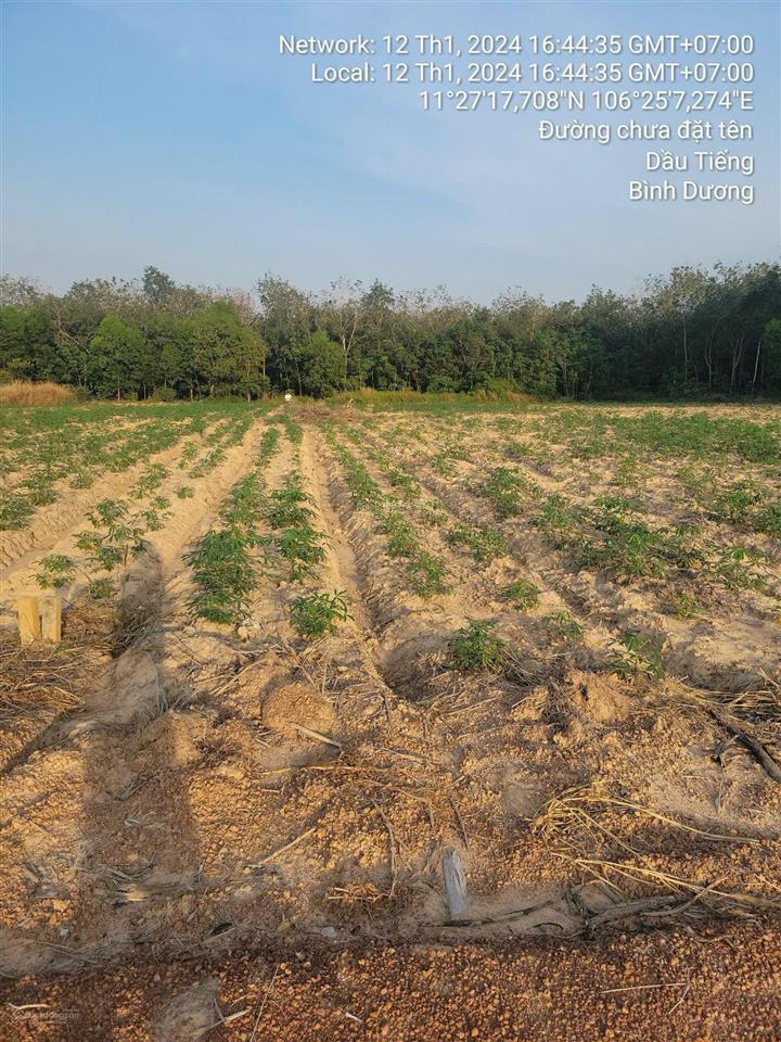 Bán đất tại minh hòa, 1.050 tỷ, 2138m2, giá siêu hời cho bạn