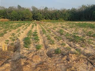 Bán đất tại minh hòa, 1.050 tỷ, 2138m2, giá siêu hời cho bạn