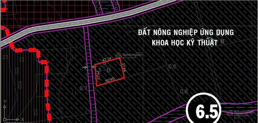 Bán đất lúa giá tốt cơ hội đầu tư sinh lời