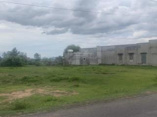 Chính chủ định cư nước ngoài cần bán lô đất mt đường nhựa xã hàm phú, bình thuận, dt 1703m2 1,55 tỷ