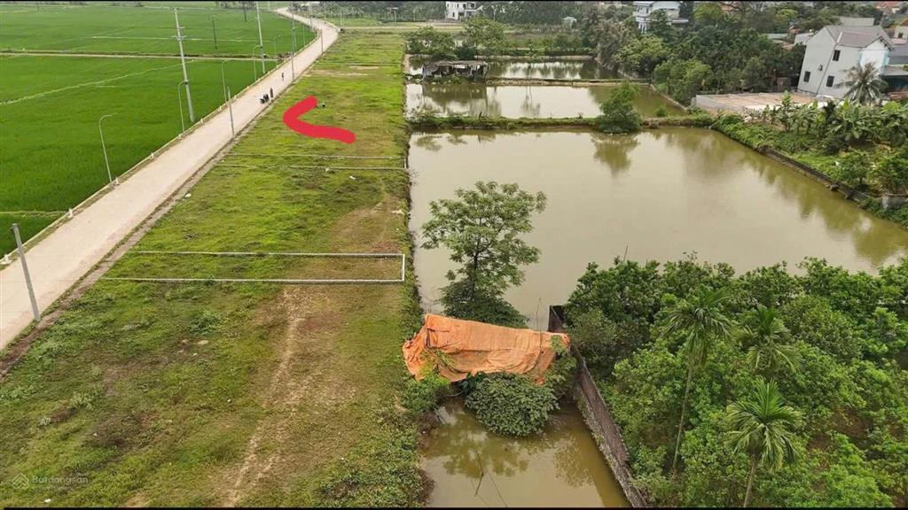 Bán đất đấu giá đẹp tại xã an tiến, 2,2 tỷ vnd, 100 m2, nhiều tiện ích, chính chủ