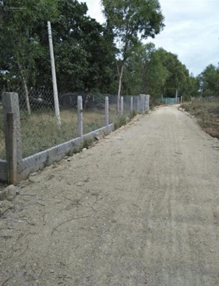 Chính chủ cần bán đất thổ cư diện tích 1500m2, đất ở 150m2 tại phường mũi né, lâm đồng