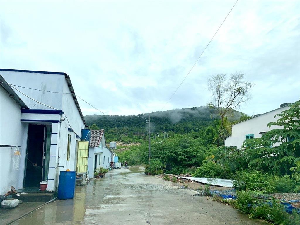 Bán đất thổ cư diện tích 1000m2 tại khu phú quốc