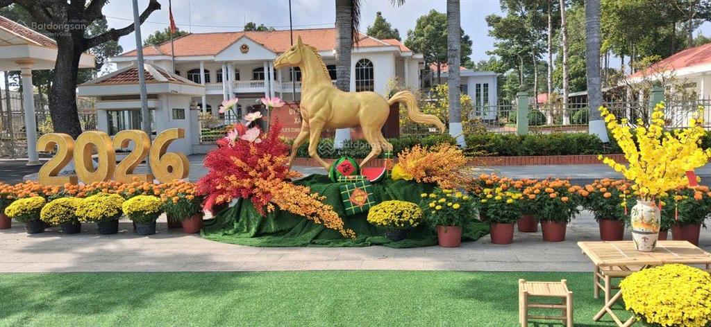 Nhà 8 tỷ hiếm tài lộc báo hiếu bành văn trân tân bình