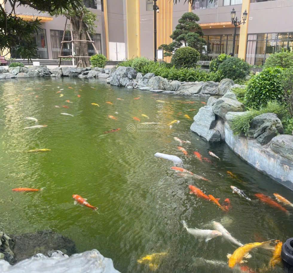 Bán cc the zenpark, đông dư, trâu quỳ, 2 tỷ, 27m2, 1pn, 1wc, giá cực chất