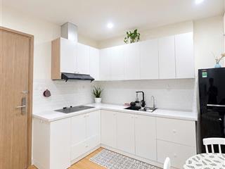 Bán căn hộ 1pn, 1wc, 43m2 tại the sapphire 1  vinhomes ocean park, giá 2,3 tỷ