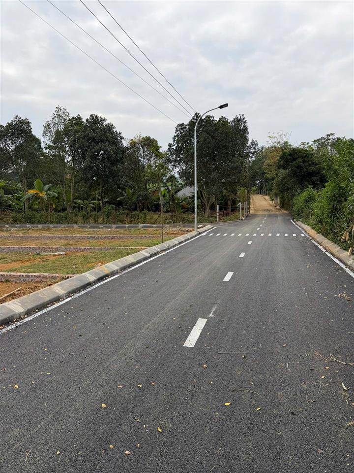 Chính chủ cần bán lô đất nằm đối diện quy hoạch cụm công nghiệp đô thị và dịch vụ bảo hiệu 530ha